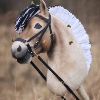 Hobby horse wallpaper