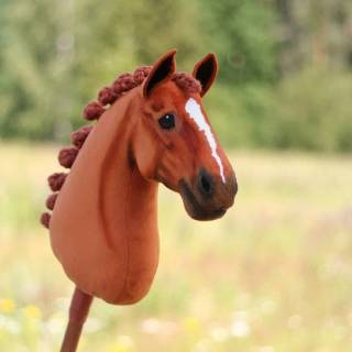 Hobby horse wallpaper
