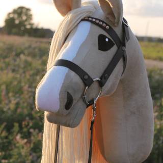 Hobby horse wallpaper