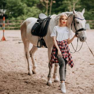 Hobby horse wallpaper