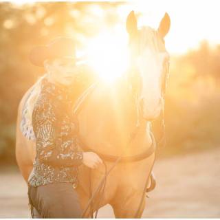 Hobby horse wallpaper