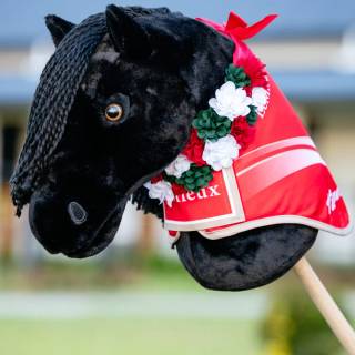 Hobby horse wallpaper