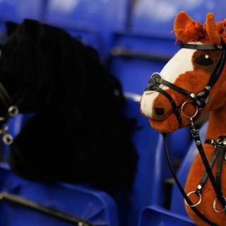 Hobby horse wallpaper