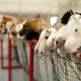 Hobby horse wallpaper