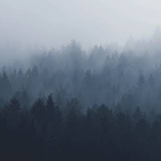 Grey 4k PC wallpaper