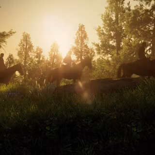 The Last of Us PS5 4k wallpaper