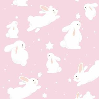 Bunny mobile wallpaper