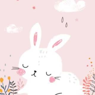Phone bunny wallpaper