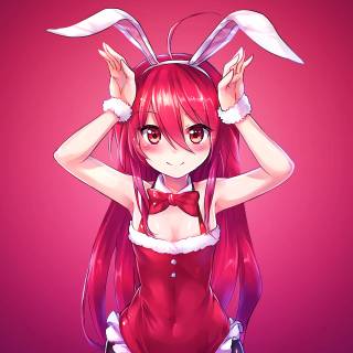 Pink bunny 4k wallpaper