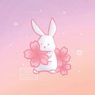 Pink bunny 4k wallpaper