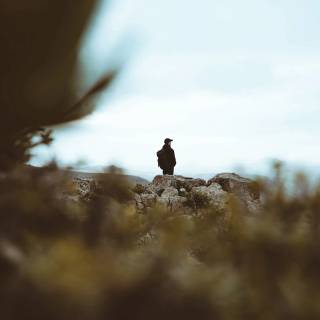 Sad 4k desktop wallpaper