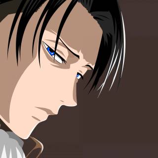 Levi desktop 4k wallpaper