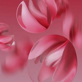Pink colour 4k wallpaper