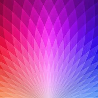 Pink colour 4k wallpaper