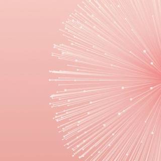 Simple color phone wallpaper