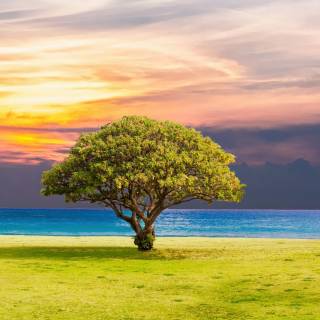 Scenery 4k PC wallpaper