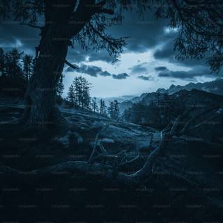 Black HD 4k PC wallpaper