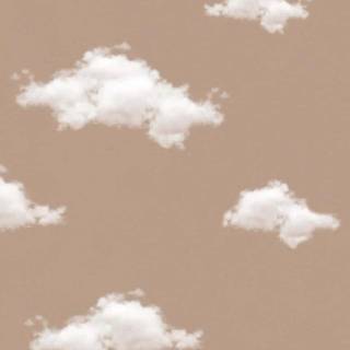 Cute brown phone wallpaper