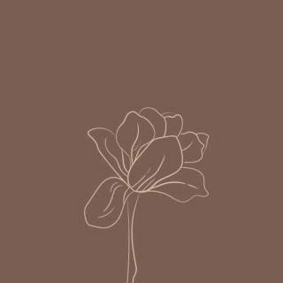 Cute brown phone wallpaper