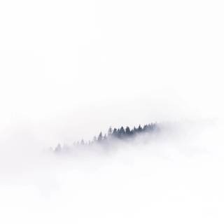 White minimalistic phone wallpaper