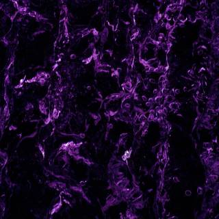 Black and purple aesthetic phone wallpaper