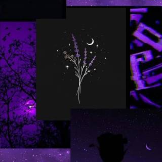 Black and purple aesthetic phone wallpaper