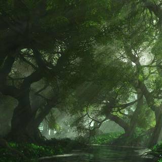 Forest green desktop wallpaper