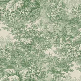 Forest green desktop wallpaper