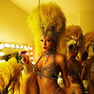 The Life of A Showgirl desktop wallpaper