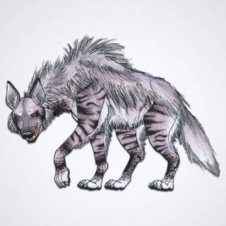 Hyena desktop wallpaper