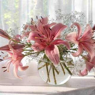 Lilies desktop wallpaper