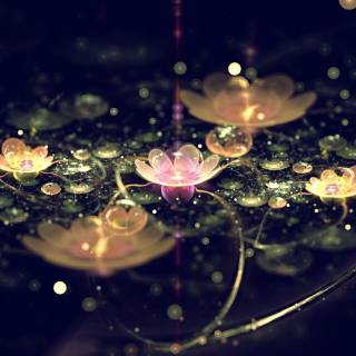 Lilies desktop wallpaper