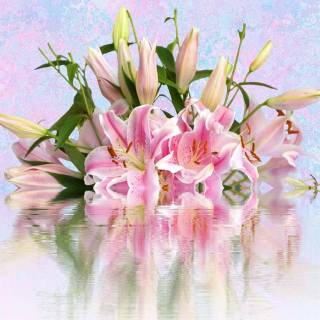 Lilies desktop wallpaper