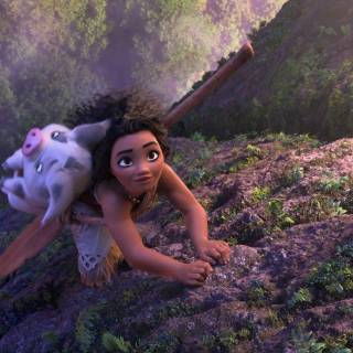 Moana 2 desktop wallpaper
