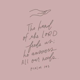 Pink Bible verse desktop wallpaper