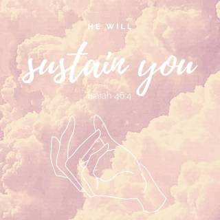 Pink Bible verse desktop wallpaper