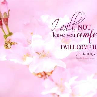 Pink Bible verse desktop wallpaper