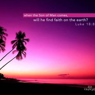 Pink Bible verse desktop wallpaper