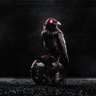 Baltimore Ravens desktop wallpaper
