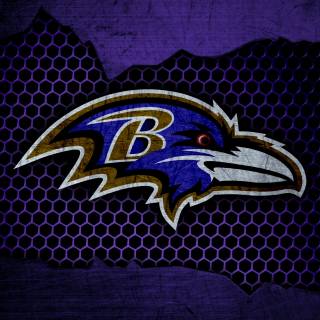 Baltimore Ravens desktop wallpaper
