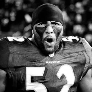 Baltimore Ravens desktop wallpaper