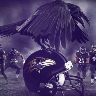 Baltimore Ravens desktop wallpaper