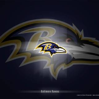 Baltimore Ravens desktop wallpaper