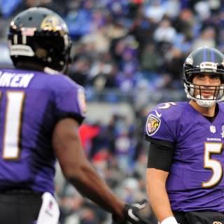 Baltimore Ravens desktop wallpaper