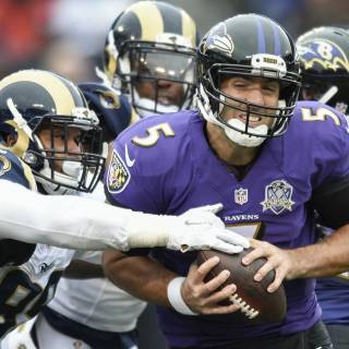 Baltimore Ravens desktop wallpaper
