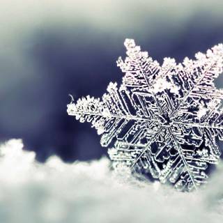 Snowflakes desktop wallpaper