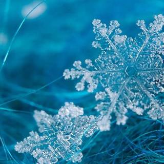 Snowflakes desktop wallpaper