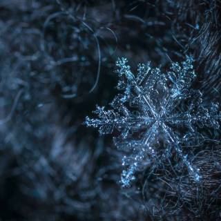 Snowflakes desktop wallpaper