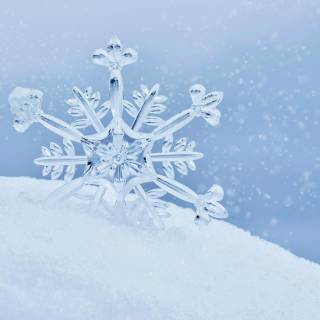 Snowflakes desktop wallpaper