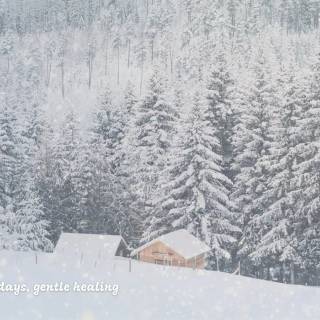Snowflakes desktop wallpaper